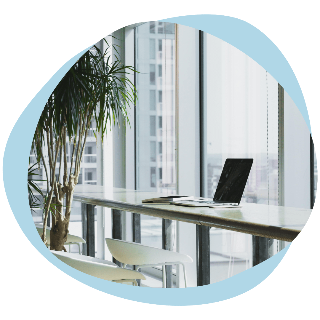 Breda project manager